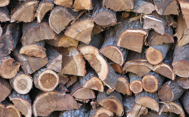 Photo: <a href="http://maxpixel.freegreatpicture.com/Firewood-Pile-Timber-Wood-Heap-660411" alt="_blank">Max Pixel</a>