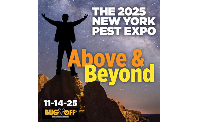 Silhouette of a person atop a high canyon, with info about the NY Expo included