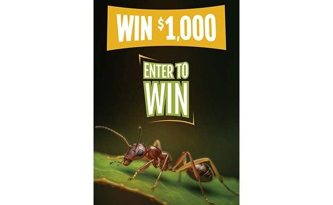 Veseris graphic for 0825 giveaway campaign