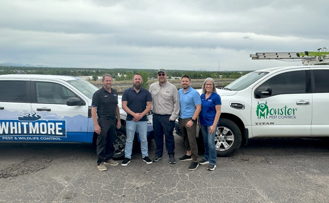 IMAGE: WHITMORE PEST AND WILDLIFE