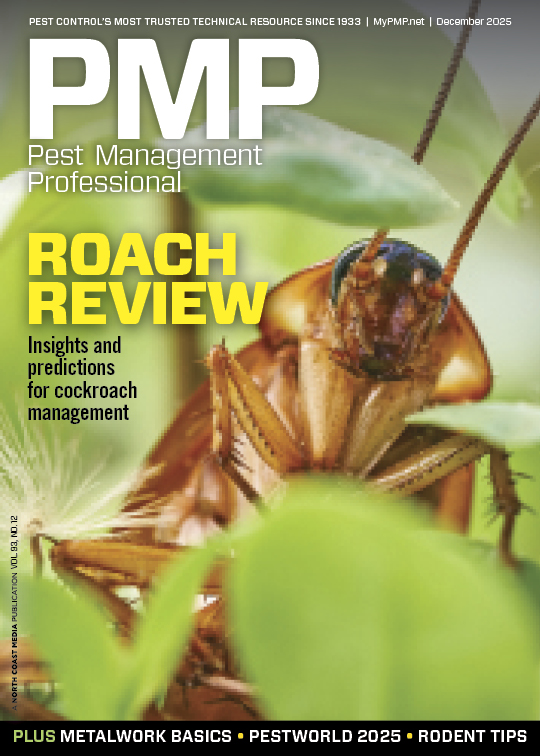 December 2025 Cover
