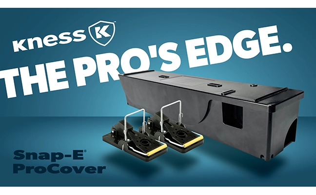 Kness Snap-E graphic